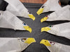 Revolution Eagle Raptor 4 Line Stunt Kite with Lines and Handles