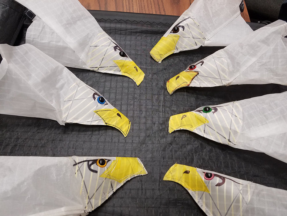 Revolution Eagle Raptor 4 Line Stunt Kite with Lines and Handles