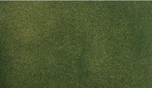 Woodland Scenics RG5122 ReadyGrass 50"x 100" Grass Mat, Green