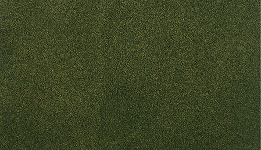 Woodland Scenics RG5123 ReadyGrass 50"x 100" Grass Mat, Forest