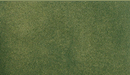 Woodland Scenics RG5172 ReadyGrass 25" x 33" Grass Mat, Green