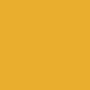 Scalecoat II 20151 (plastic) Enamel Model Paint - 1oz - Reefer Yellow