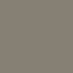 Scalecoat II 20631 (plastic) Enamel Model Paint - 1oz -  Delaware and Hudson D&H Gray