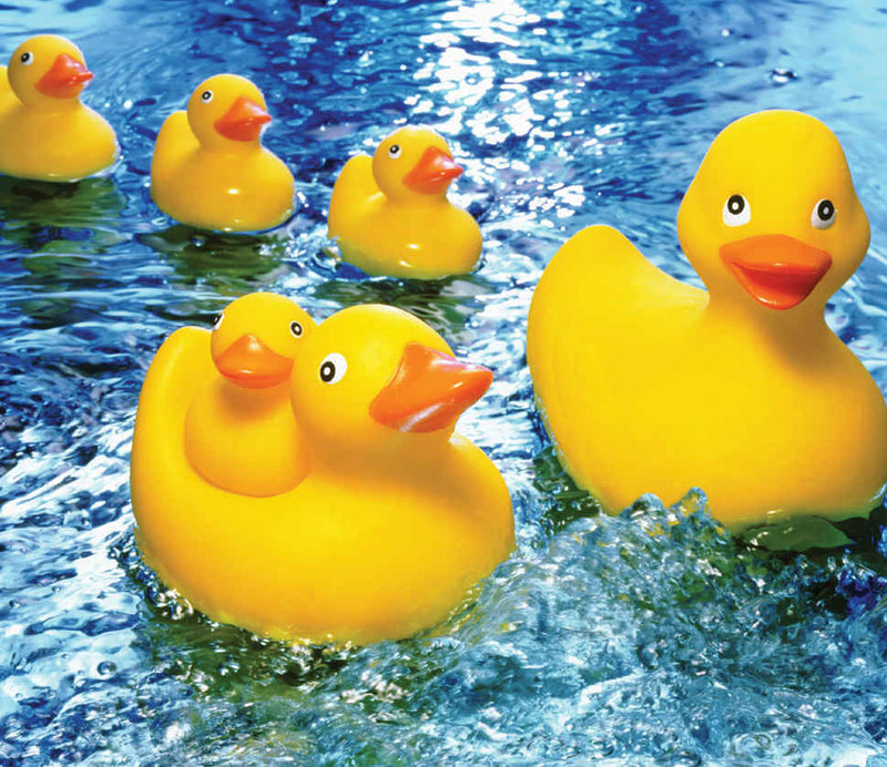 Springbok 33-30483 Rubber Duckie Kid's 60 Piece Puzzle