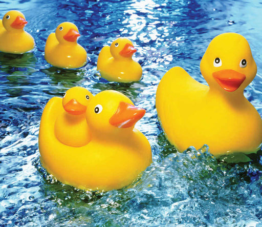 Springbok 33-30483 Rubber Duckie Kid's 60 Piece Puzzle