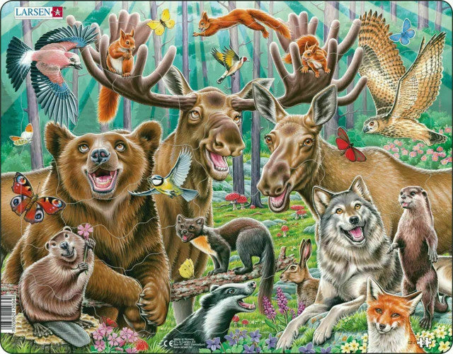 Springbok 41-07899 Happy Forest 42 Piece Children's Educational Jigsaw Puzzle
