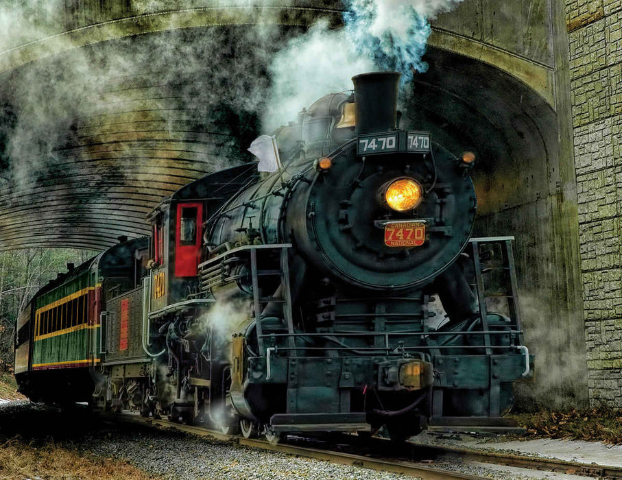 Springbok 43-04226 Green Mountain Express 100 Piece Puzzle