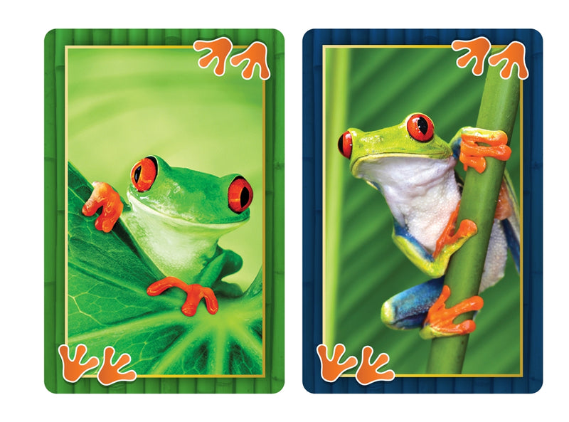 Springbok 91-73075 Eye Spy Cards