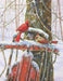 Springbok 34-01518 Peaceful Moments 500 Piece Puzzle