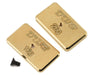 Team Losi Racing TLR331041 Rear Brass Weight Set 16g and 25g for 22 5.0
