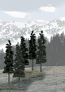 Woodland Scenics TR1582 Value Trees, Conifer 6-8" (12)