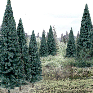 Woodland Scenics TR1588 Ready Made Trees Value Pack, Blue Spruce 4-6" (13)