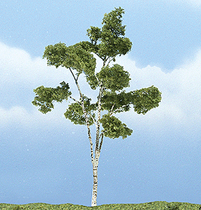 Woodland Scenics TR1616 Premium Paper Birch Tree, 4"