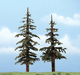 Woodland Scenics TR1628 Premium Lodgepole Tree, 5-6" (2-Pack)