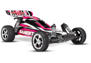 Traxxas 24054-1 Bandit 1/10 Scale RTR Off-Road Extreme Sport Electric Buggy PinkX