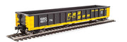 Walthers MainLine 910-6256 53' Gondola ex-Railgon Seadboard System SBD 481774