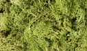 Woodland Scenics L162 Lichen Bag, Light Green( 82 cu. in.)