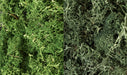 Woodland Scenics L168 Lichen Bag, Dark Green Mix/ (165 cu. in.)