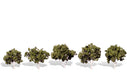 Woodland Scenics TR3532 Classics Tree, Waters Edge 1.25-2" (5-Pack)