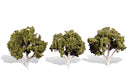 Woodland Scenics TR3534 Classics Tree, Waters Edge 3-4" (3-Pack)