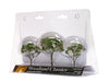 Woodland TR3525 Classics Tree Gum Tree 2.5-3.5" (3-Pack)