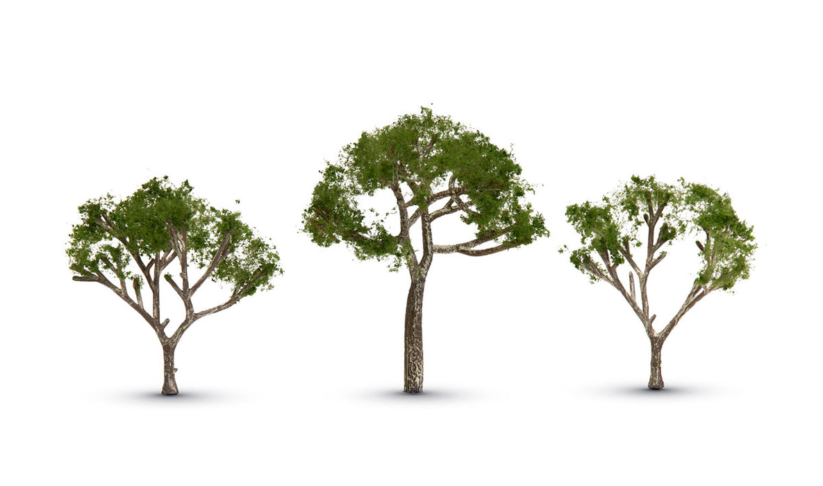 Woodland TR3525 Classics Tree Gum Tree 2.5-3.5" (3-Pack)