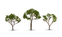 Woodland TR3525 Classics Tree Gum Tree 2.5-3.5" (3-Pack)