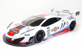 ZooRacing ZooDiac Clear Body for USGT Cars